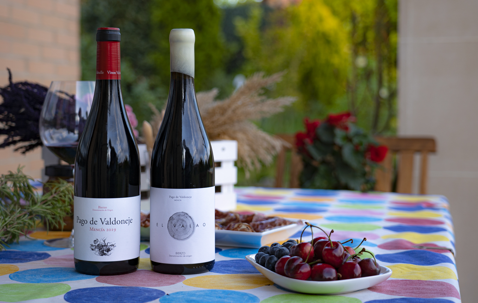 Vinos Valtuille English | Sarahselections wines